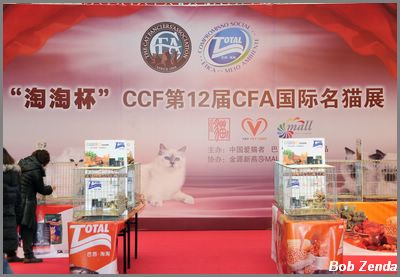 CCF Judging Area in Mall